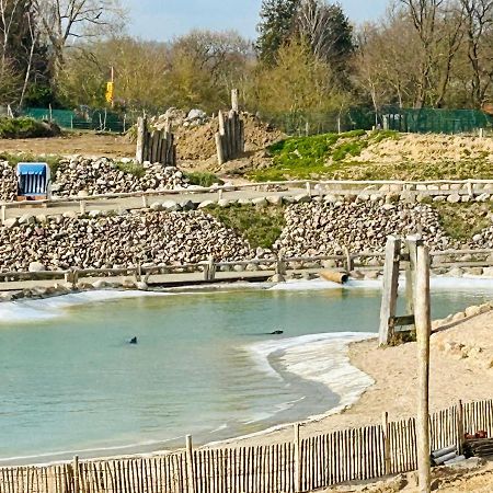Kuestenbude Robbe Grömitz Exteriér fotografie